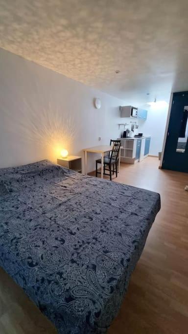 Studio En Rez De Jardin Avec Terrasse Privee - Le Petit Chateau Avesnois - Tv - Wifi - Logement Complet アヴェーヌ・シュル・エルプ エクステリア 写真